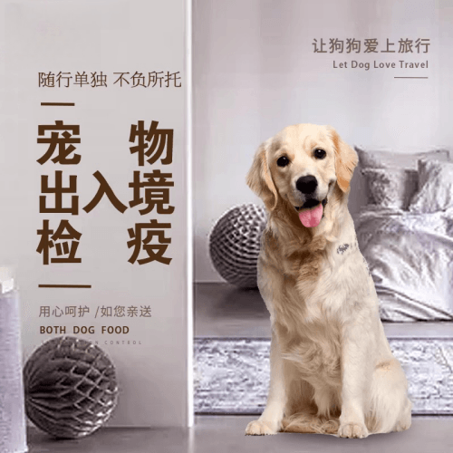 衢州市宠物托运到哥伦比亚猫狗宠物入境规定和