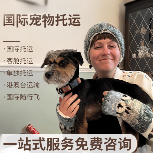 衢州市国际宠物托运到阿根廷宠物入境规定和要
