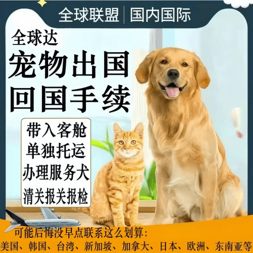 衢州市宠物托运到柬埔寨宠物入境规定和要求