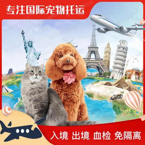 衢州市宠物托运到美国宠物入境最新规定和要求