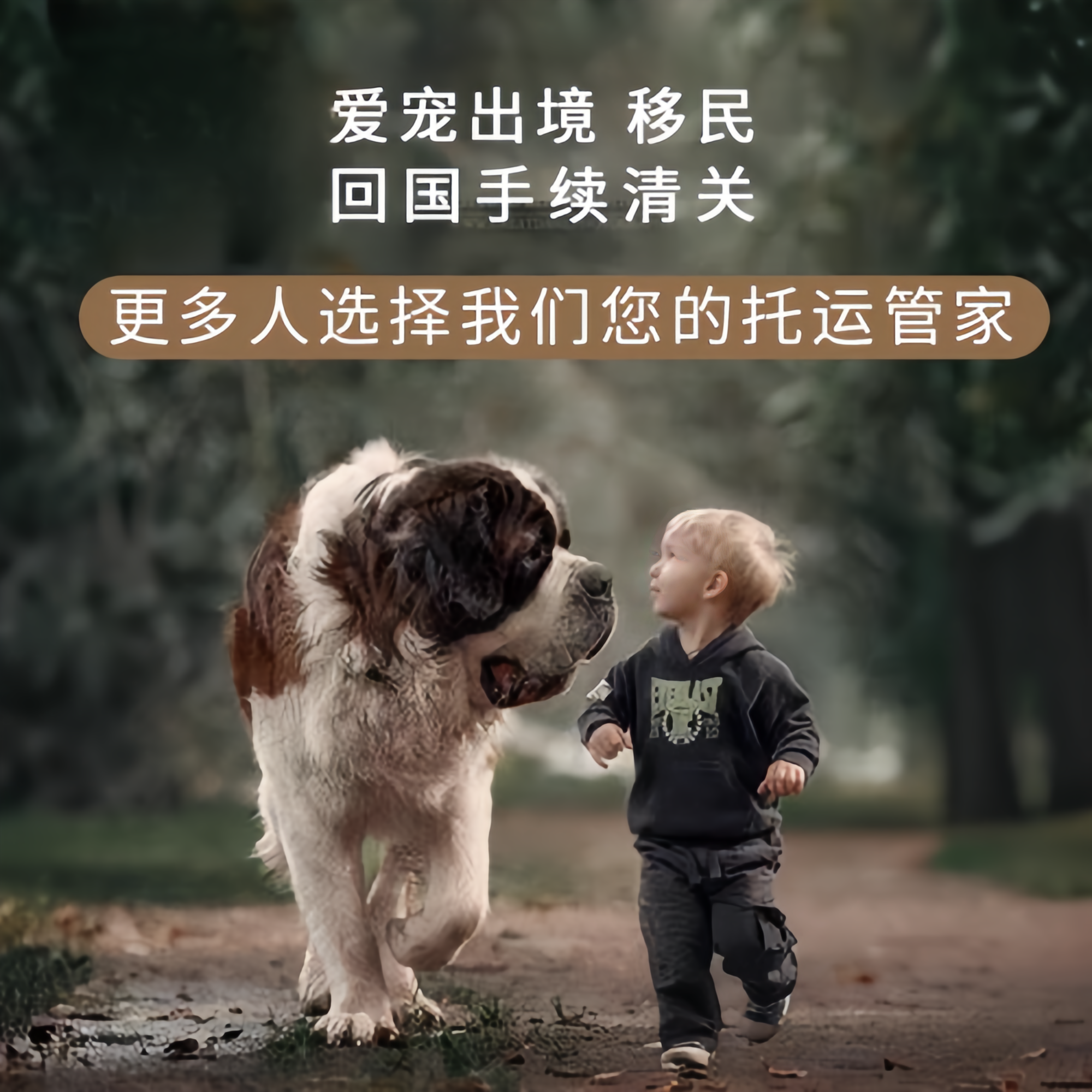 满财衢州市宠物全球达宠物托运在遵守入境目的地政策的条件