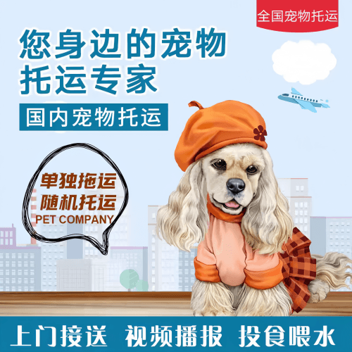 满财衢州市宠物全球达宠物托运作为专业的宠物运输代理机构